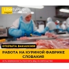 Словакия.  Фабрика по переработке куриного мяса.  ЗП 1200 евро чистыми