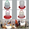 Вакуумная пластиковая поилка для домашней птицы